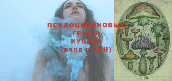 мескалин Медвежьегорск