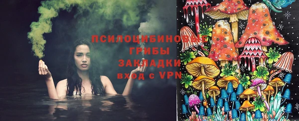 бошки Медногорск