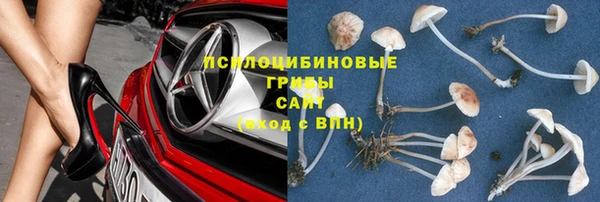 бошки Медногорск